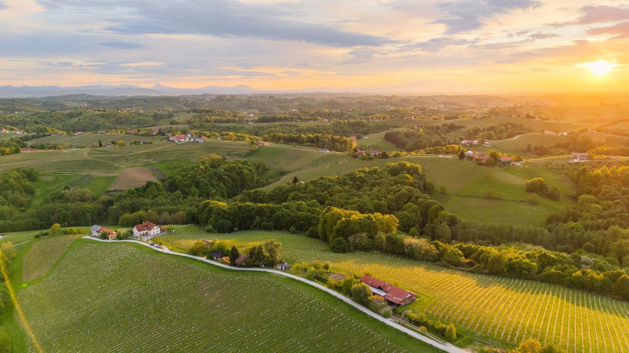 Zelena Oaza - B&B Miklavz pri Ormozu Экстерьер фото
